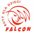 falcon-logo.png